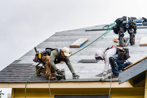 Professional Flat Roof Repair technician working in Algoma, WI